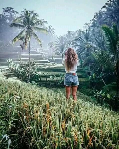Banana Bungalows Tetebatu Exteriér fotografie