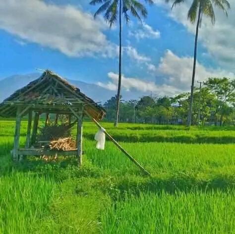 Banana Bungalows Tetebatu Exteriér fotografie