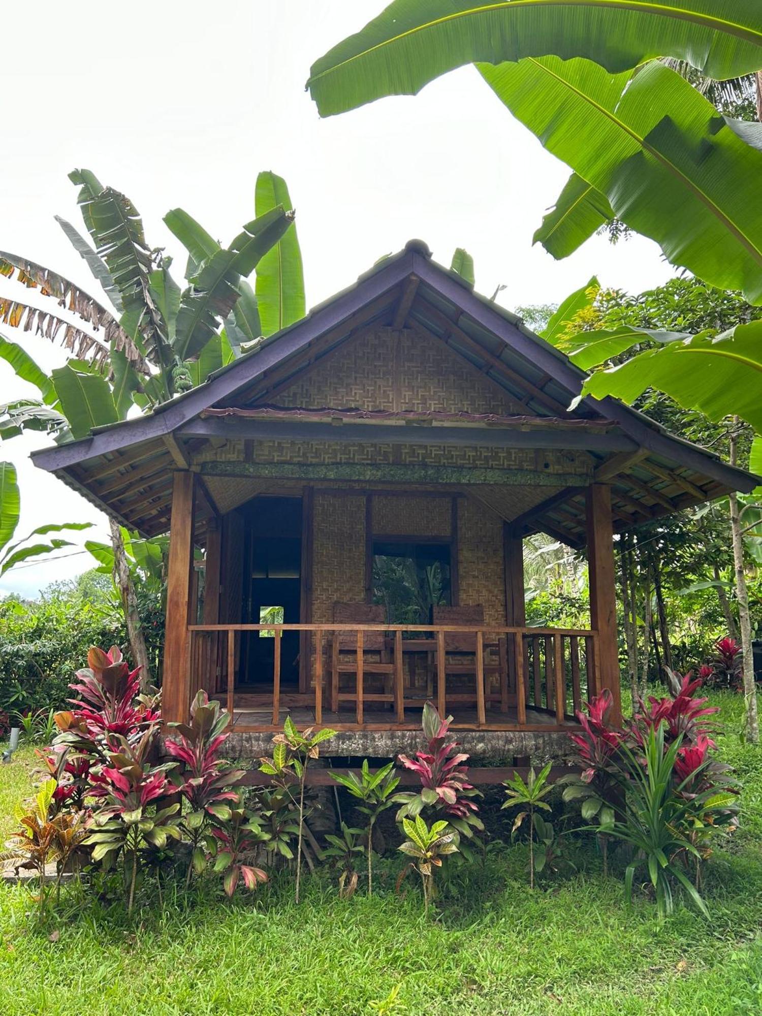 Banana Bungalows Tetebatu Pokoj fotografie