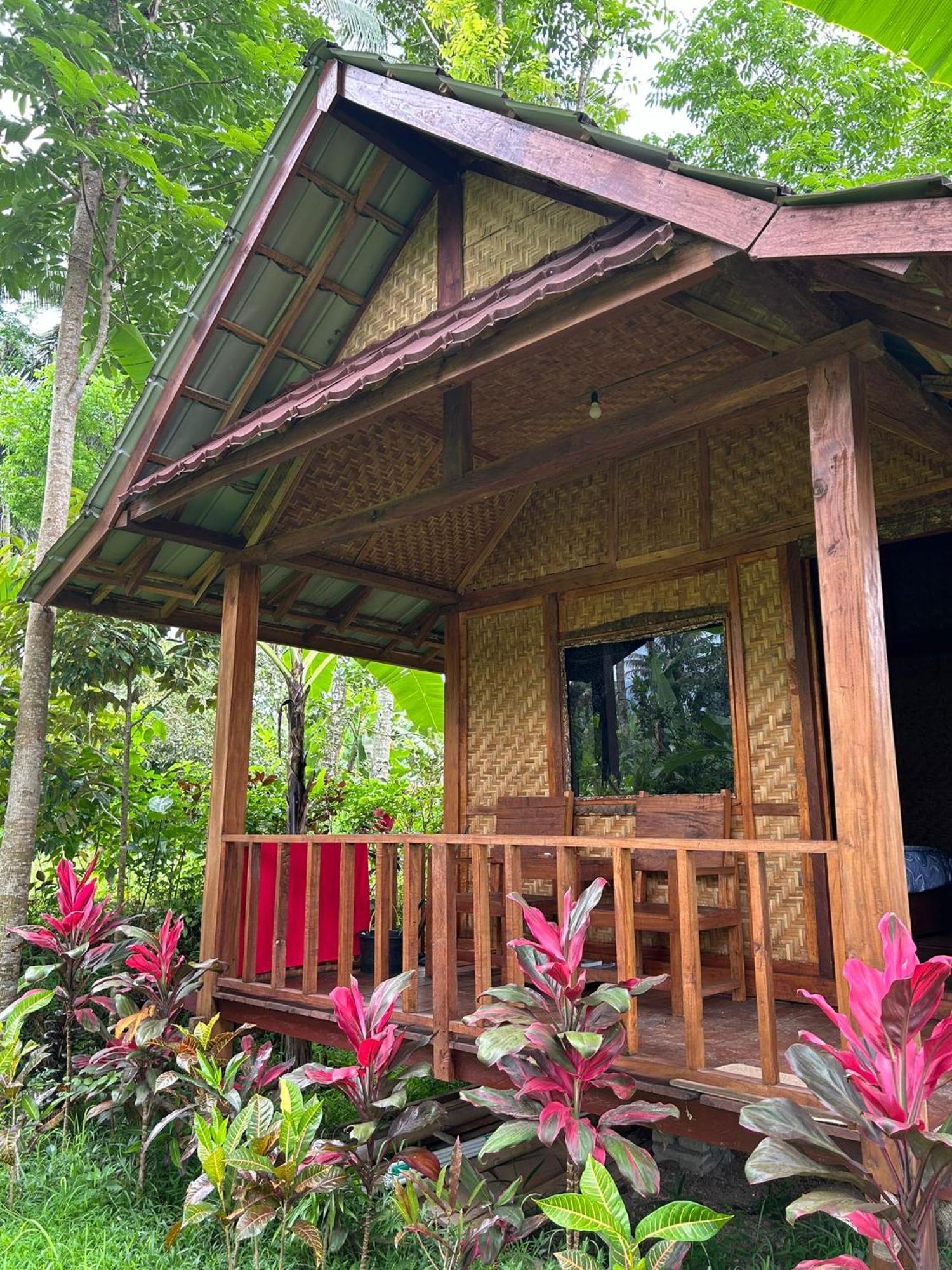 Banana Bungalows Tetebatu Pokoj fotografie