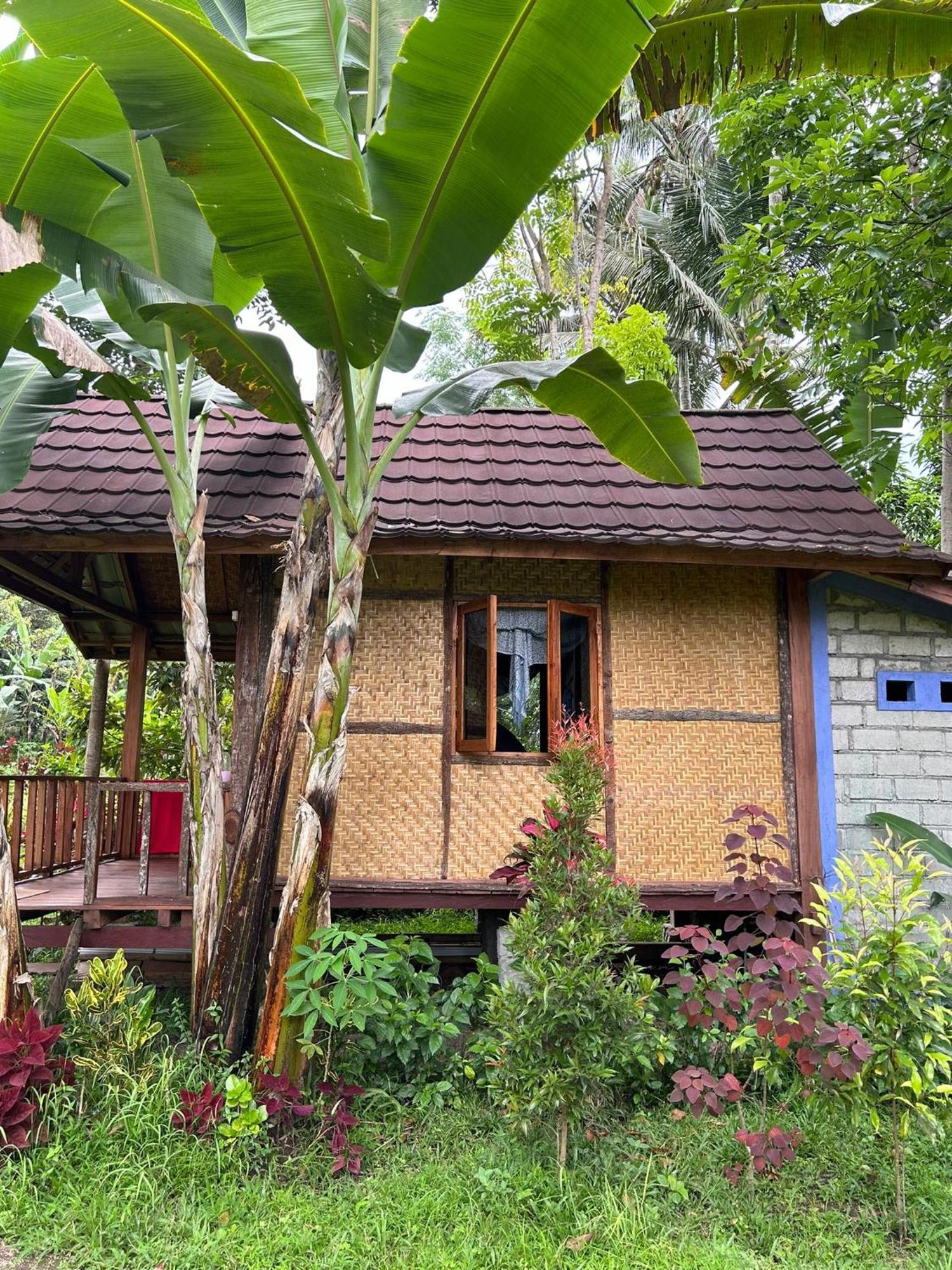Banana Bungalows Tetebatu Pokoj fotografie